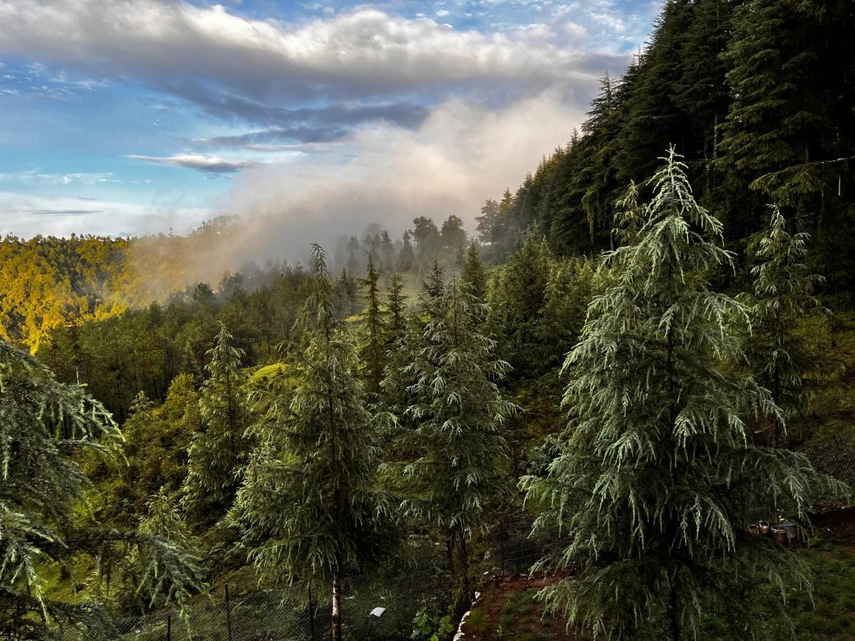 The Roots Homestay Almora Zewnętrze zdjęcie