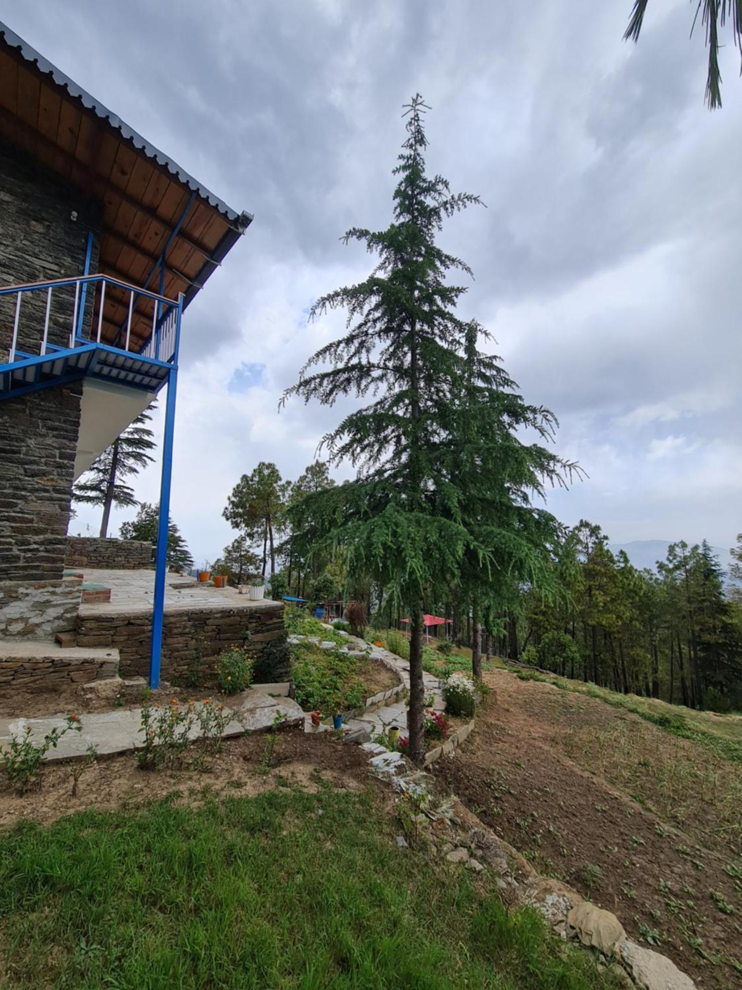 The Roots Homestay Almora Zewnętrze zdjęcie